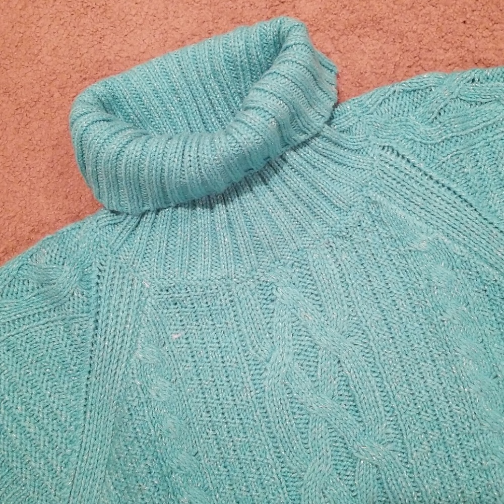 The Limited sweater